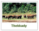 Thekkady